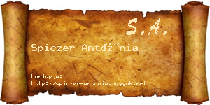 Spiczer Antónia névjegykártya